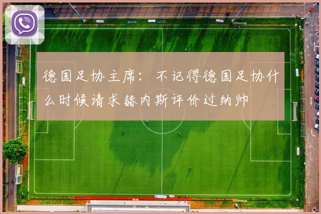 德国足协主席：不记得德国足协什么时候请求赫内斯评价过纳帅
