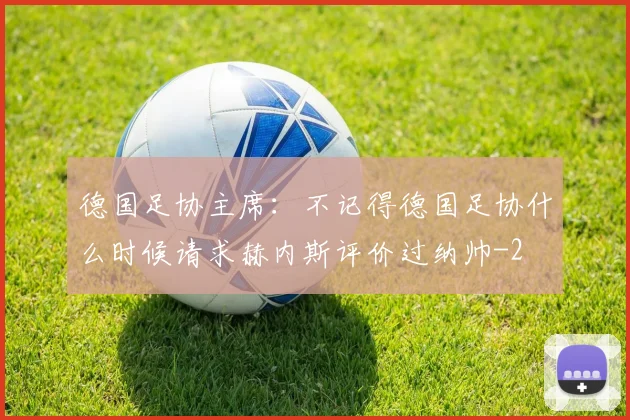 德国足协主席：不记得德国足协什么时候请求赫内斯评价过纳帅